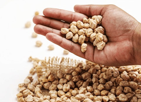 خرید و قیمت نخود سفید ایرانی + فروش عمده